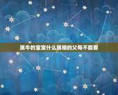 属牛的宝宝什么属相的父母不能要，父母属免，儿子属牛，再生个什么属相的妹