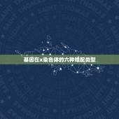 基因在x染色体的六种婚配类型，多显性基因决定的遗传病患者分为两类，一类