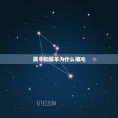 属牛和属羊为什么相冲，1991羊男和1997牛女配