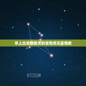 早上出生的属虎的是饱虎还是饿虎，属虎的凌晨1:30出生是属于饿虎吗？