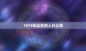 1978年出生的人什么命，1978年是什么命 1978年出生的人201
