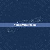 1978年生肖马2021年，78年属马女2021年财运
