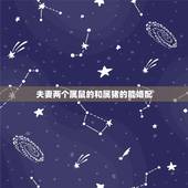 夫妻两个属鼠的和属猪的能婚配，属鼠和属猪能合婚吗？
