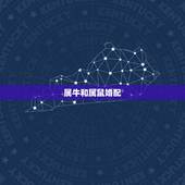 属牛和属鼠婚配，属牛的和什么属相最配