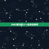 2002属马的人一生命运如何，2002年出生属马五行属什么命