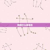 狗跟什么属相合 狗和蛇的属相合不合