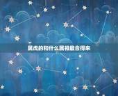属虎的和什么属相最合得来，属虎的在工作中和什么属相最配