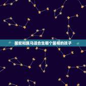 属蛇和属马适合生哪个属相的孩子，属蛇与属马的在一起生什么属相小孩最好