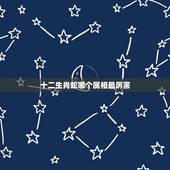 十二生肖蛇哪个属相最厉害，十二生肖蛇和哪个动物最配