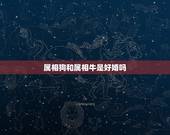 属相狗和属相牛是好婚吗，属相牛和狗好吗