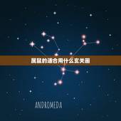 属鼠的适合用什么玄关画，属鼠的人家中玄关摆什么
