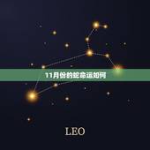 11月份的蛇命运如何，农历十一月属蛇的女人
