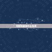 马到功成是什么生肖，马到成功是哪一种动物