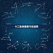 十二生肖查看今日运势，看属相说你一年的运气能相信吗