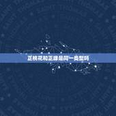 正桃花和正缘是同一类型吗，正缘桃花4朵代表什么