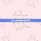 2022年是虎年还是牛年，2022 年是鼠年还是牛年