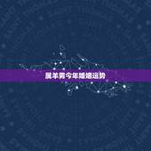 属羊男今年婚姻运势，属羊的男人今年运势
