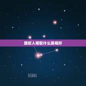 属蛇人婚配什么属相好，属蛇女更佳婚配前十名属相
