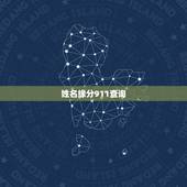 姓名缘分911查询，姓名缘分爱情查询？