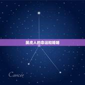 属虎人的命运和婚姻，属虎女人的婚姻与命运