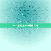 一只手链上两个貔貅好吗，女人貔貅带两个还是一个好