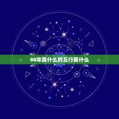 98年属什么的五行属什么，1998年出生是什么命
