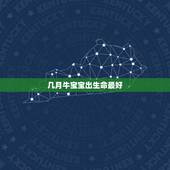 几月牛宝宝出生命最好，明年想要个牛宝宝，几月份生宝宝的命运最好？