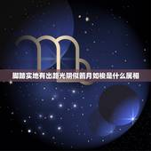 脚踏实地有出路光阴似箭月如梭是什么属相，光阴似箭，二月如梭。我们的小学