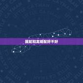 属蛇和龙婚配好不好，属蛇生龙宝宝和不合