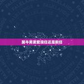 属牛男更爱现任还是前任，生肖属牛男人爱你的表现