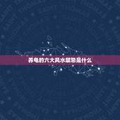 养龟的六大风水禁忌是什么，养龟风水与属相禁忌有哪些