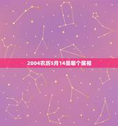 2004农历5月14是哪个属相，生日公历是2004年5月14日，那农历