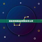 属鼠的和属鼠的婚姻会怎么样，属鼠的和什么属相最配