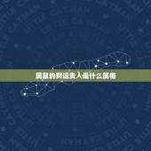 属鼠的财运贵人是什么属相，属鼠一生合财的生肖
