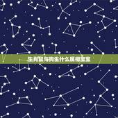 生肖鼠与狗生什么属相宝宝，老公属狗，我属鼠，生个什么属相的宝宝的好呀？