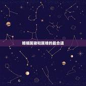 婚姻属猪和属啥的最合适，生肖猪的命运及财运