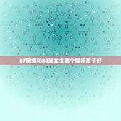 87属兔和88属龙生哪个属相孩子好，87年属兔和88年属龙要属甚么的孩
