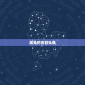 属兔的吉利头像，属兔的用什么农历八月微信头像能带来好运
