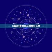 78年出生的属马的是什么命，属马1978年是什么命