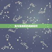 兔与兔相配的婚姻如何，狗和兔为什么那么配