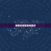 属猴的婚配属相最好，属猴的和什么属相最配
