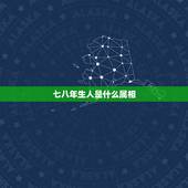 七八年生人是什么属相，七八年属什么生肖的