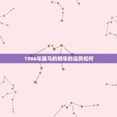 1966年属马的明年的运势如何，66年女属马人2021年运势