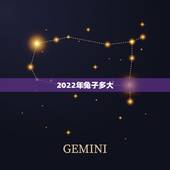 2022年兔子多大，属兔年龄对照表
