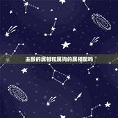 主猴的属相和属狗的属相配吗，82年属狗的与80年属猴属相相合不？