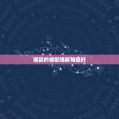属鼠的婚配啥属相最好，属鼠的和什么属相最配