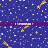 十二生肖排名表图片，十二生肖排行顺序表