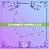 鼠兔婚和什么属相配婚姻是上上婚，我想问一下，属兔的和什么属相相配？