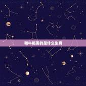 和牛相害的是什么生肖，属龙与属牛是相相刑吗