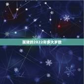 属猪的2022年多大岁数，2022年生肖猪运势完整版